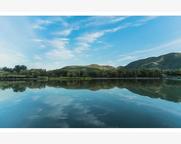 肺热润肺止咳化痰，呵护呼吸健康，拥抱舒畅生活