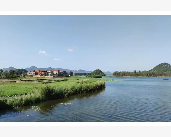 黄芪水能否对痰起到化解作用？