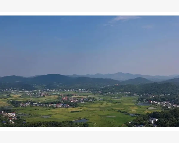 肺热润肺止咳化痰：中医的智慧与疗效